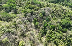 4.6 Kilometers Southwest from Hojancha city, Hojancha, Guanacaste, Hojancha, Guanacaste