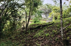 San Rafael Norte, Perez Zeledon, Costa Rica, 450 oeste del restaurante Banderas., Pérez Zeledón, San José, Pérez Zeledón, San José