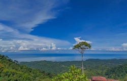 Punta Mala Arriba , Puerto Cortés, Osa, Puntarenas, Osa, Puntarenas 60501