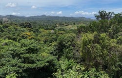 Exquisite Jungle property with Ocean View | Gated Community in Ojochal 3Exquisite Jungle property with Ocean View | Gated Community in Ojochal 3 Puerta Del Sol, Ojochal, Puntarenas, Costa Rica, Ojochal, Puntarenas