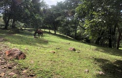 Orotina, Orotina, Alajuela, Orotina, Alajuela