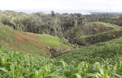 Golfito>Pavones, Pavones, Puntarenas, Pavones, Puntarenas