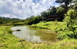 Finca de Bosque La Tigre, San Carlos, Alajuela, San Carlos, Alajuela