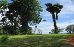 Punta Riel, Cahuita, Limón Province