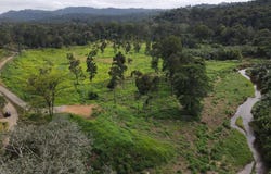 ruta 256 s/n, Cahuita, Talamanca, Limon, Talamanca, Limon 70403