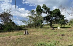 Alajuela, . San Mateo, Higuito, San Mateo, Alajuela, San Mateo, Alajuela
