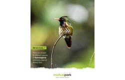2km from Místico Park in La Fortuna, San Carlos, Alajuela, Costa Rica, San Carlos - La Fortuna, Alajuela, San Carlos - La Fortuna, Alajuela