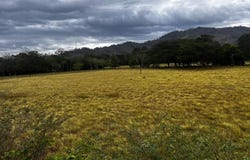San Francisco , Santa Cruz, Santa Cruz, Guanacaste, Santa Cruz, Guanacaste 50301