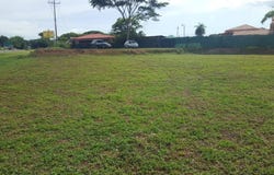 Ceiba, Orotina, Alajuela, Orotina, Alajuela