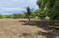 Golfito>Pavones, Pavones, Puntarenas, Pavones, Puntarenas