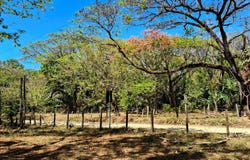 VCWV+M2, Sámara, Guanacaste Province