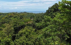 38XW+72H, Phase 10, Provincia de Puntarenas, Ojochal, Costa Rica, Bahía Ballena, Puntarenas Province