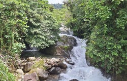 Propiedad en cedral: Mountain Home Construction Site For Sale in Cajón, Cajón, San José