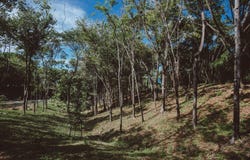 160, Santa Cruz, Guanacaste Province