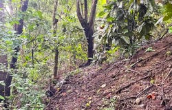 Prime Commercial Lot Just Minutes from Manzanillo Beach - Manzanillo, Santa Teresa, Puntarenas Province