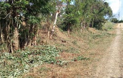 Lagunillas, Garabito, Garabito, Puntarenas, Garabito, Puntarenas