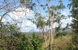 Casa Royale: DISTRESS SALE ! 3/3 home on 3/4 acre., San Luis, Guanacaste