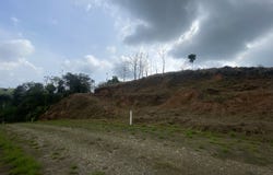 SDT 215, Chontales, Puntarenas, Costa Rica, Chontales, Puntarenas, Chontales, Puntarenas