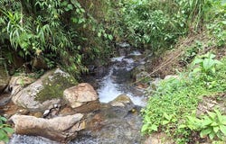 Propiedad en cedral: Mountain Home Construction Site For Sale in Cajón, Cajón, San José