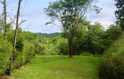 Nature-Focused Eco Residential Lots in Santiago - Santiago, Santa Teresa, Puntarenas Province
