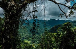 San Ramon El Castillo, Penas Blancas, Alajuela, Texas 77406