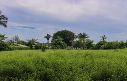 X8WG+R7, Provincia de Guanacaste, Santa Cruz, Costa Rica, Santa Cruz, Guanacaste Province