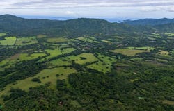 Finca Tempate , Tempate, Santa Cruz, Guanacaste, Santa Cruz, Guanacaste