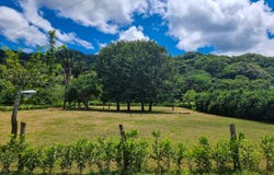 X8WG+R7, Provincia de Guanacaste, Santa Cruz, Costa Rica, Santa Cruz, Guanacaste Province
