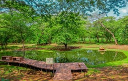 Pond view secluded homesite Surrounded by nature Prime Residential Lot, #C139, Playa Grande, Santa Cruz, Guanacaste, Santa Cruz, Guanacaste 50308