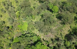 \Las Vegas, Parrita, Puntarenas , Parrita, Puntarenas, Parrita, Puntarenas