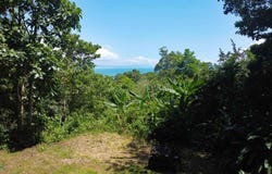 Ocean View Lot with Cabin, Calle 611 , Pavones, Golfito, Puntarenas, Golfito, Puntarenas 60704