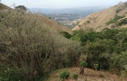 Estanquillos , Atenas, Alajuela, Atenas, Alajuela