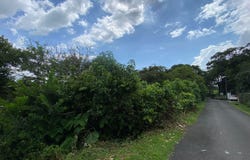XQ93+72X, C. el Bajo, Provincia de Alajuela, Guácima, Guacima Arriba, Costa Rica, Guácima, Alajuela Province