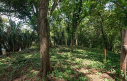 X85J+P9G, Guanacaste Province, Nosara, Costa Rica, Nosara, Guanacaste Province