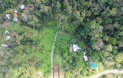 Carbon, Cahuita, Limon 70403