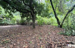 Playa Palo Seco, Parrita, Parrita, Puntarenas, Parrita, Puntarenas