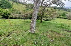 RIVER ROCK HILLS, Tierras Morenas, Guanacaste