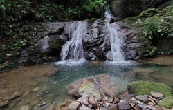 Balzar de Osa, Puntarenas, Costa Rica., Osa, Puntarenas, Osa, Puntarenas