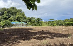 Golfito>Pilón, Puntarenas, Puntarenas, Puntarenas, Puntarenas
