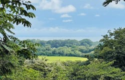 Uvita , Bahía Ballena, Osa, Puntarenas, Osa, Puntarenas