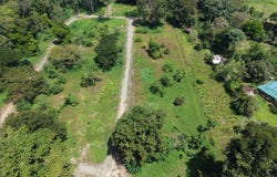 Hone Creek, Cahuita, Limon 70403