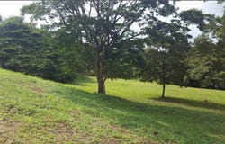 Ceiba, Orotina, Alajuela, Orotina, Alajuela
