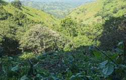 Estanquillos , Atenas, Alajuela, Atenas, Alajuela