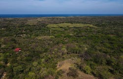 Pura Jungla #26, #27, #28 , Veintisiete de Abril, Santa Cruz, Guanacaste, Santa Cruz, Guanacaste 50303
