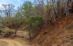 Esperanza Road, Nosara, Guanacaste Province