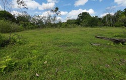 Chachagua - Los Angeles 1, San Ramón, San Ramon, Alajuela, San Ramon, Alajuela 21007