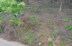 Matapalo, Santa Cruz, Guanacaste, Santa Cruz, Guanacaste