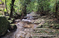 Lote en Chimirol.: Mountain Home Construction Site For Sale in Buena Vista, Buena Vista, San José