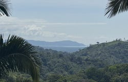 12 Acre Ocean View Farm in a Private Agricultural Community, Ojochal, Puntarenas
