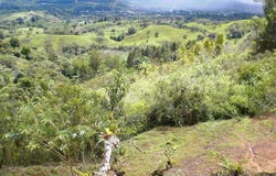 Santa Cecilia de Agua Buena , Agua Buena, Coto Brus, Puntarenas, Coto Brus, Puntarenas